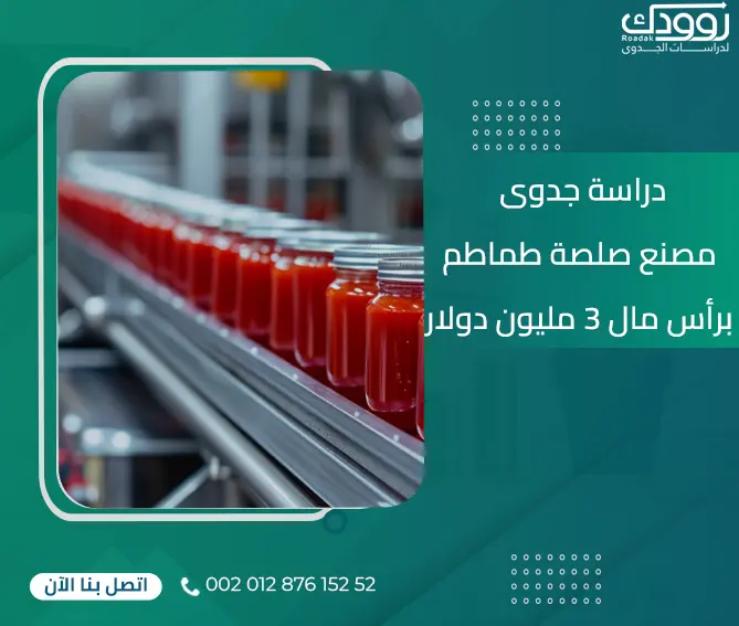 دراسة جدوى مصنع صلصة طماطم برأس مال 3 مليون دولار